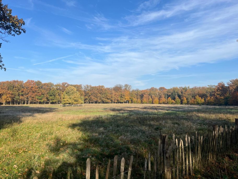 De Bilt, wandelen in de Bilt